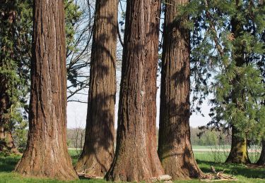 Excursión A pie Hemmingen - DE-SAV Blauer Punkt, Leonberg Bhf - Vaihingen/Enz - Photo