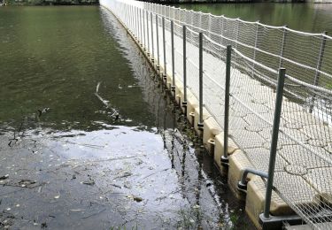 Tour Wandern Rambruch - Pont Misère - Photo