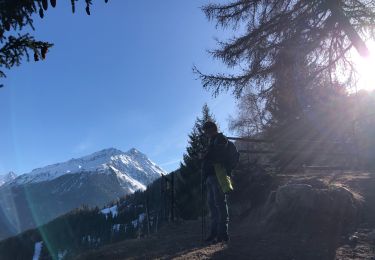 Tour Wandern Anniviers - Grimentz Parcours de la Montagnetta (PVDB) - Photo