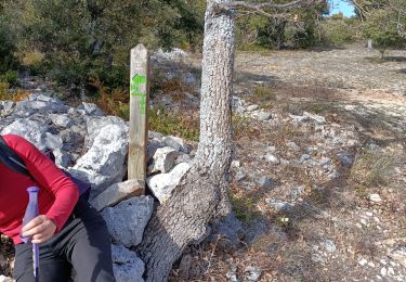 Tocht Stappen Saint-Saturnin-lès-Apt - les ayguiers de St Saturnin  - Photo