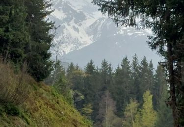 Percorso Marcia Theys - PINCERIE EN BOUCLE DEPUIS PIPAY - Photo