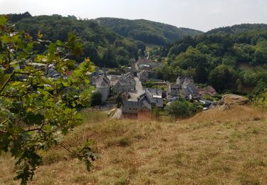 Trail Walking Anhée - Denée Sosoye Denée 0818 - Photo