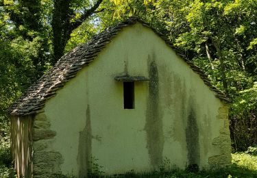 Trail Walking Valzin-en-Petite-Montagne - Montadroit-lac-chapelle - Photo