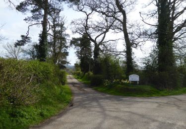 Percorso A piedi Mid Devon - Willand Village Trail - Photo