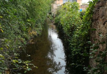 Trail Walking Altorf - sentier des bornes - Photo