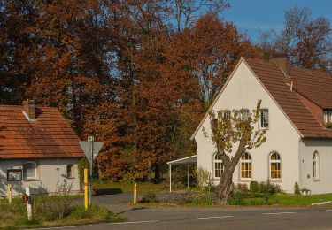 Percorso A piedi Westerkappeln - Westerkappeln Rundweg A4 - Photo