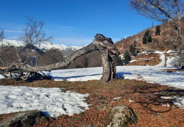 Randonnée Marche Saccourvielle - cap de la Montagnette en boucle depuis Saccourvielle  - Photo