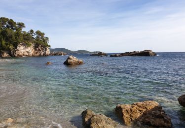 Tocht Stappen Toulon - sentiers littoral  Toulon  - Photo