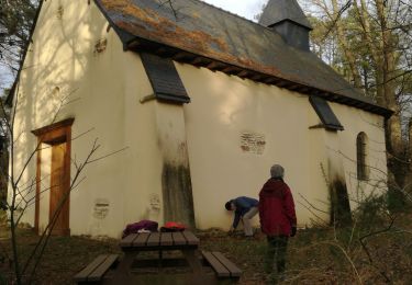 Tour Wandern Laillé - Laille, Chapelle du Désert - Photo