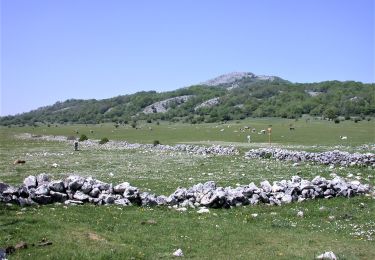 Trail On foot Roccagiovine - Via dei Lupi - Tappa 2: San Polo dei Cavalieri - Licenza - Photo