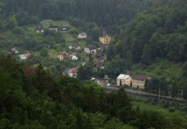 Excursión A pie Děčín - NS Kaňon Labe - Photo