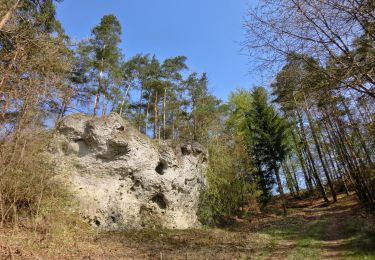 Tour Zu Fuß Pottenstein - Rundweg Püttlach - Photo