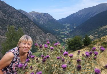 Trail Walking Lavaldens - Lavaldens 400 + - Photo