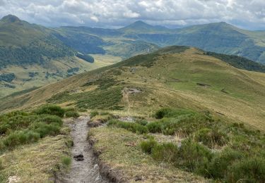 Excursión Senderismo Lavigerie - Puy de Niermont et plateau du Limon  - Photo