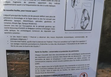 Trail Walking Thuin - Thuin G.B.D. - Photo