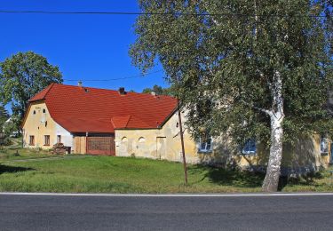 Tocht Te voet Kamenice nad Lipou - NS Vítězslava Nováka - Photo