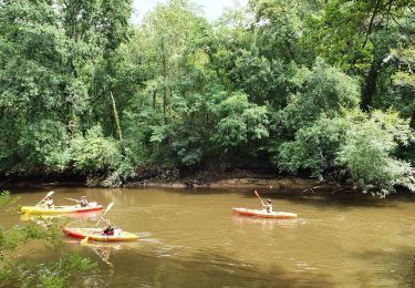 Randonnée V.T.C. Le Teich - Le Teich - Photo