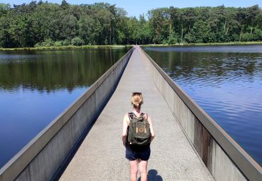 Randonnée Marche Genk - Promenade vers la piste dans l'eau, dans le magnifique domaine de Bokrijk  - Photo