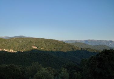 Percorso Marcia Campo - promenade campo  - Photo