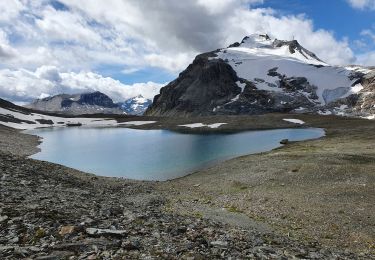 Tocht Stappen Tignes - lacs de la Leisse - Photo