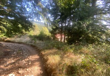Tour Wandern Saint-Sauveur-en-Rue - Saint Regis en Coin - Photo