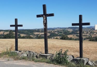 Trail Walking Saint-Martin-Lestra - i - Photo