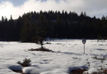 Tocht Stappen La Bresse - les Champis  - Photo