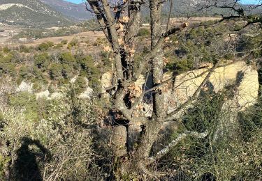 Tour Wandern Saint-Pantaléon-les-Vignes - Saint Pantaleon crevasses.  - Photo