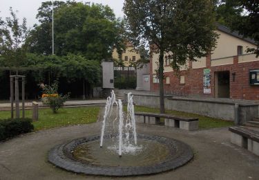 Tocht Te voet Bad Düben - Bad Düben - Kemberg - Photo