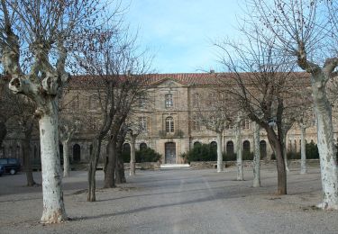 Tour Zu Fuß Roujan - Roujan - Abbaye de Cassan - Photo