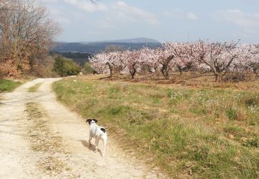 Tour Wandern Saint-Jean-de-Ceyrargues - St Jean de Ceyrargue-St Cesaire de Gauzignan - Photo