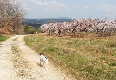 Tocht Stappen Saint-Jean-de-Ceyrargues - St Jean de Ceyrargue-St Cesaire de Gauzignan - Photo