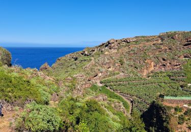 Trail Walking Puntallana - La Palma 7 - Photo