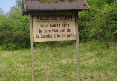 Trail Running Corcelles-les-Monts - Combe à la Serpent 1 - Photo
