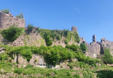 Tour Wandern Wanzel - 2020-05-21 Marche La Vancelle Boucle - Photo