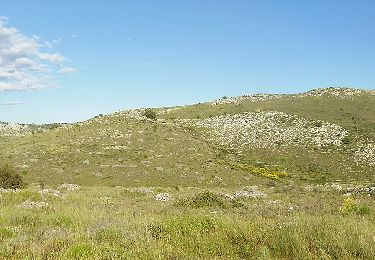 Tocht Te voet Vence - Circuit des Blaquières - Photo