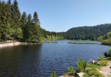 Randonnée Marche La Bresse - lacs et tourbières de Tenine et Lispach  - Photo