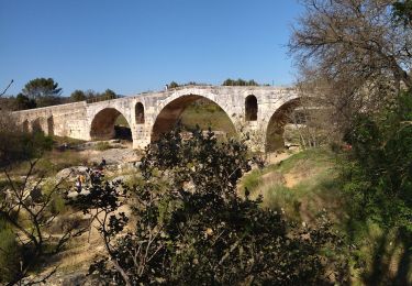 Percorso Bici da strada Ménerbes - 84 menerbes saignon Apt voie verte - Photo