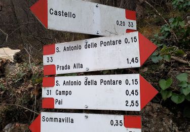 Percorso A piedi Brenzone sul Garda - Castello di Brenzone - Prada Alta - Photo