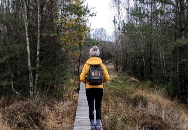 Tocht Stappen Gouvy - Promenade vers la réserve naturelle 
