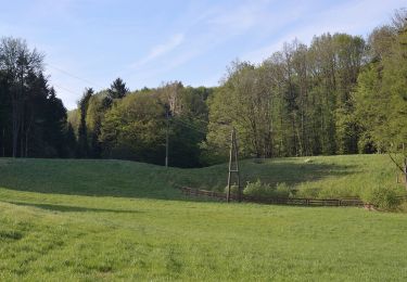 Tocht Te voet Altlengbach - Altlengbach Rundwanderweg 1 - Photo