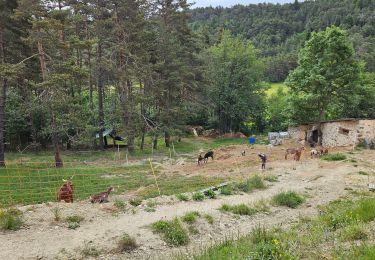 Tour Wandern Andon - L'Audibergue du Pont du Loup - Photo