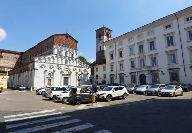 Trail Walking Camaiore - CR_Francigena_CK_34_Camaiore_Lucques_20220618 - Photo