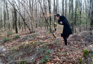 Trail Walking Arfons - jonquilles - samedi-26-03-22 - Photo