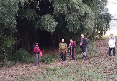 Percorso Marcia Forcalquier - pierrerue. les hameaux  bis - Photo