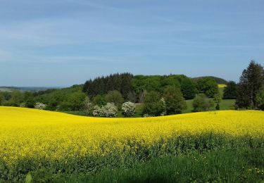 Tour Wandern Durbuy - Palenge - Durbuy - Photo