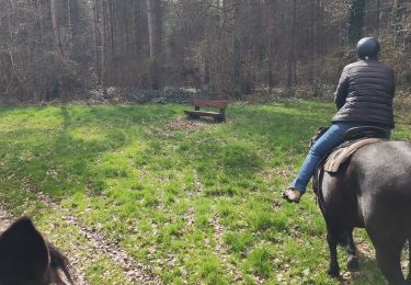 Percorso Equitazione Louviers - forêt de Bord  - Photo