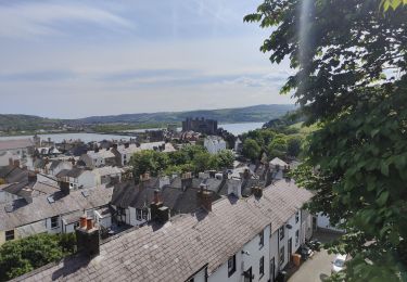 Randonnée Marche  - Visite du château de Conwy et des remparts  - Photo