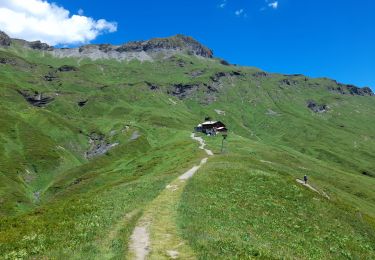 Trail Walking Passy - SIXT PASSY RESERVE: PLAINE JOUX- LAC DE PORMENAZ - REFUGE DE MOEDE ANTERNE - retour par la piste - Photo