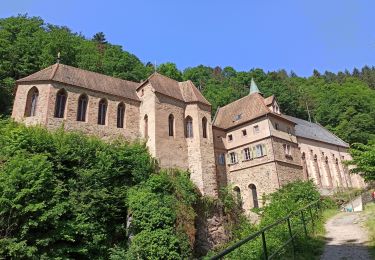 Randonnée Marche Ribeauvillé - 29-05-23 Ribeauvillé : rando des 3 Châteaux + Dusenbach - Photo